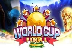 World Cup Final